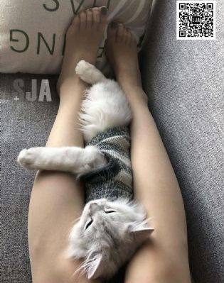 亚洲人成电影在线播放电影院_BD完整版观看